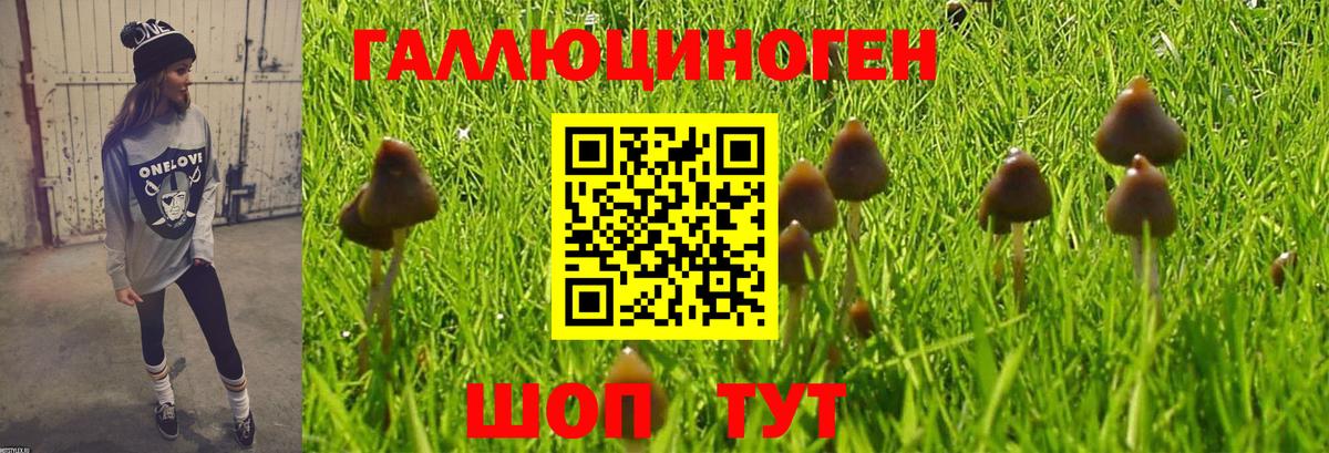 Псилоцибиновые грибы Magic Shrooms  цена   Верхняя Салда  Вход с VPN 