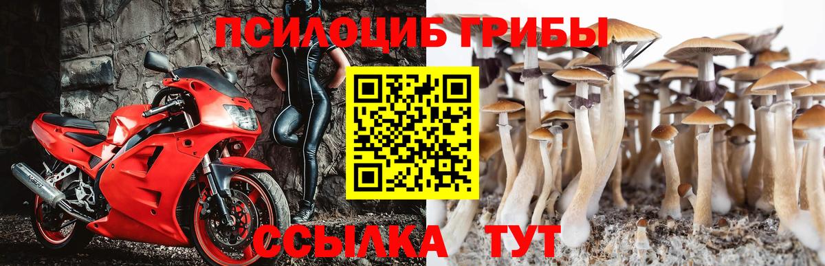 Галлюциногенные грибы ЛСД Верхняя Салда
